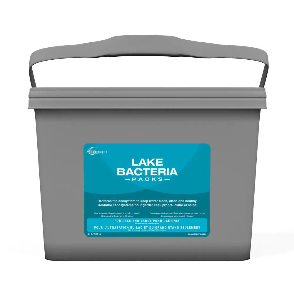 Lake Bacteria - Aquascape Australia