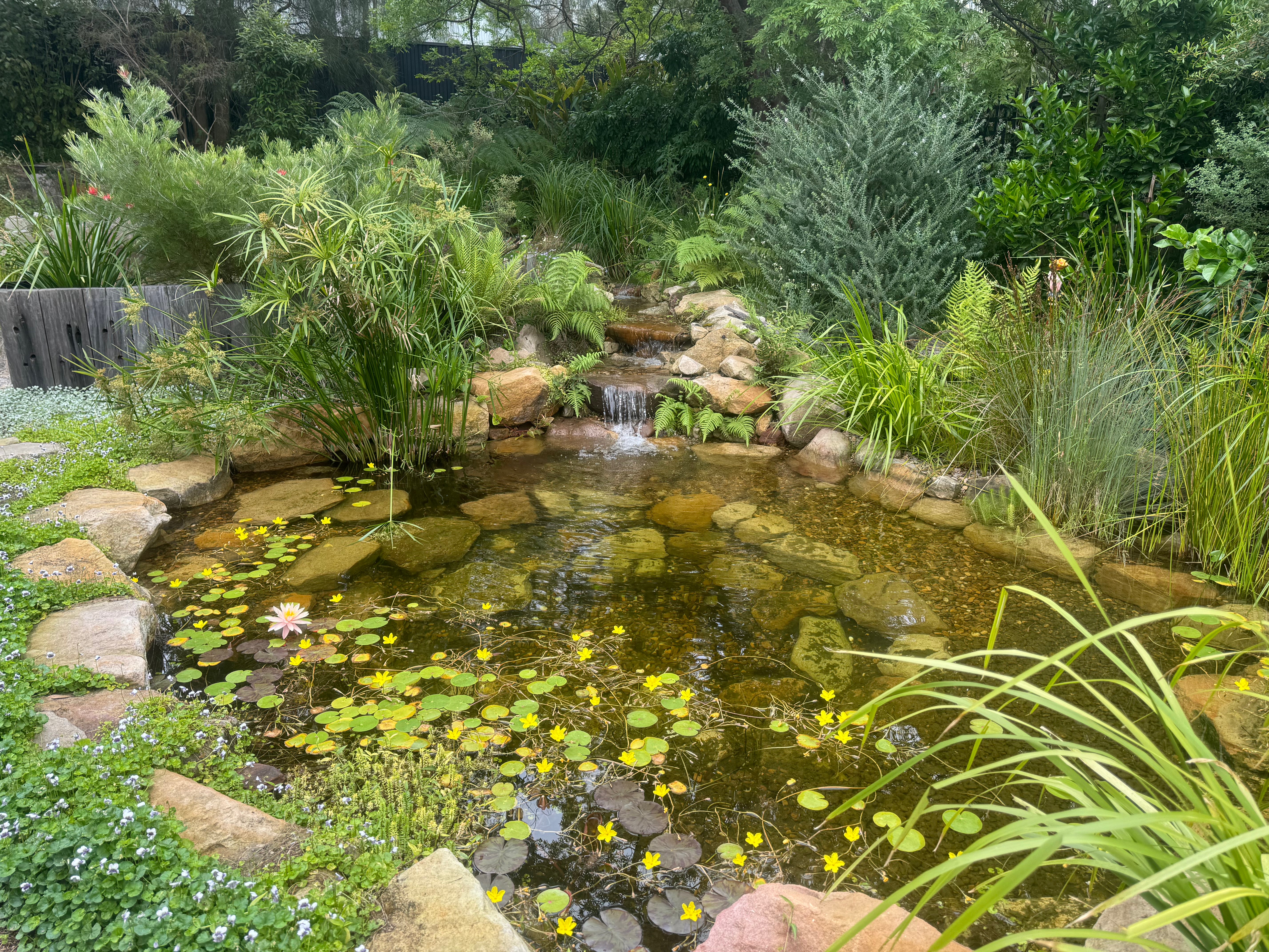 Akuna Ecoscapes