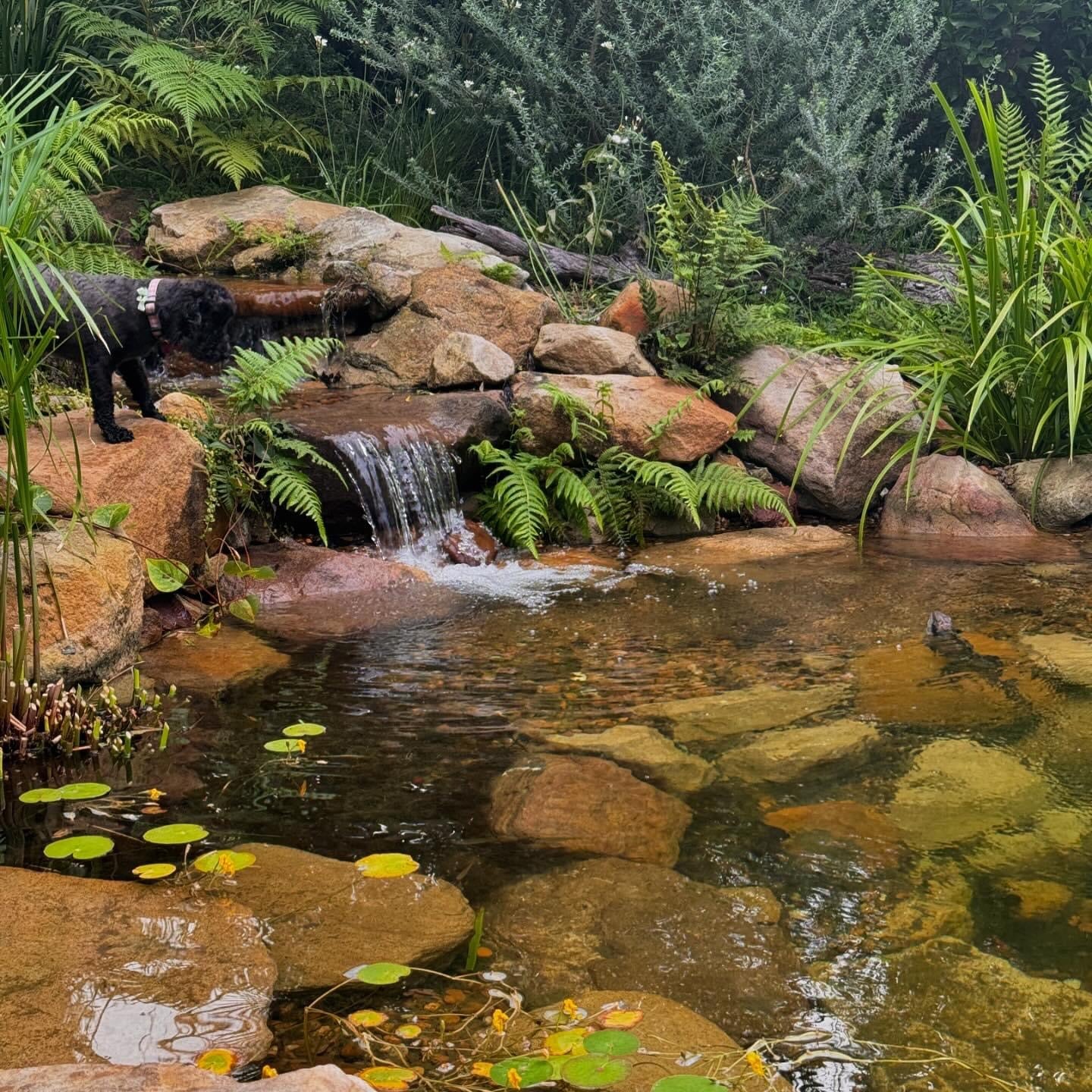 Akuna Ecoscapes