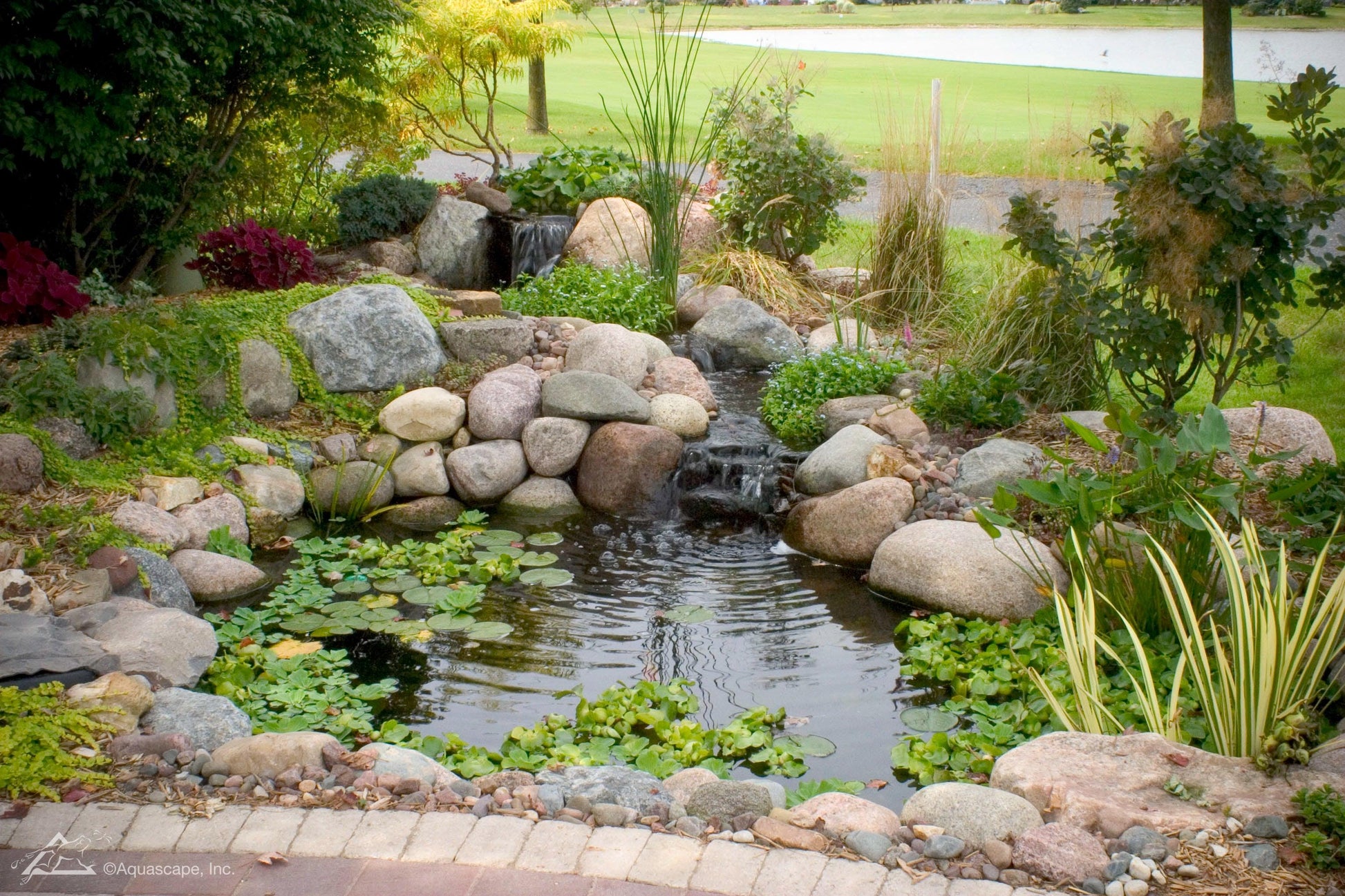 DIY Backyard Pond Kits - Aquascape Australia